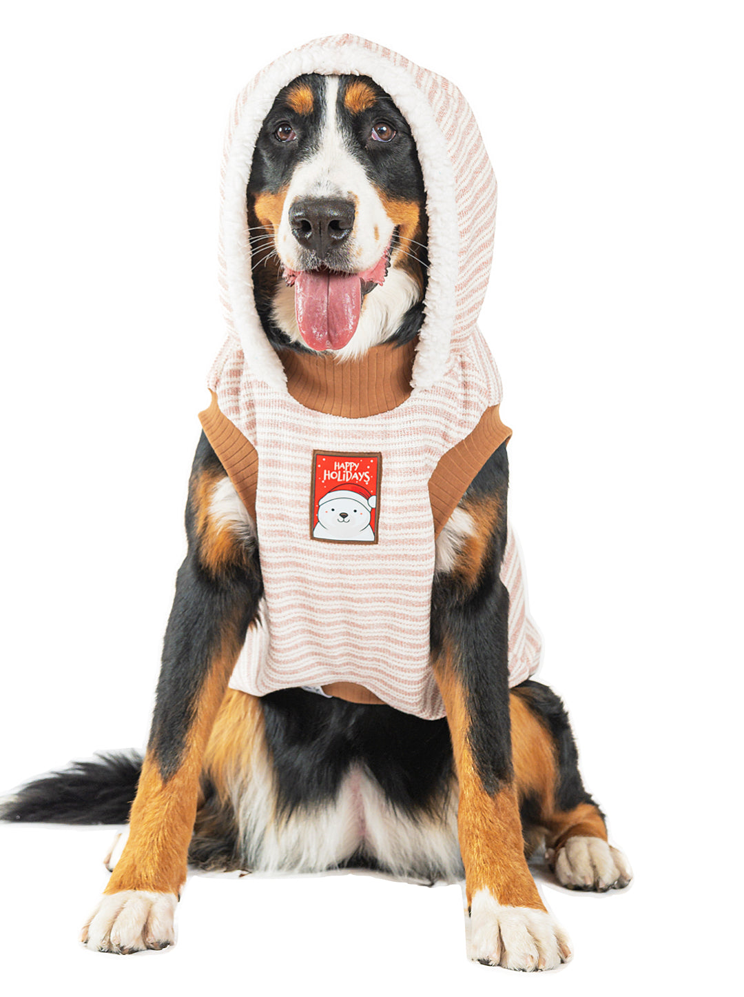 Hoodie Brisa de Invierno