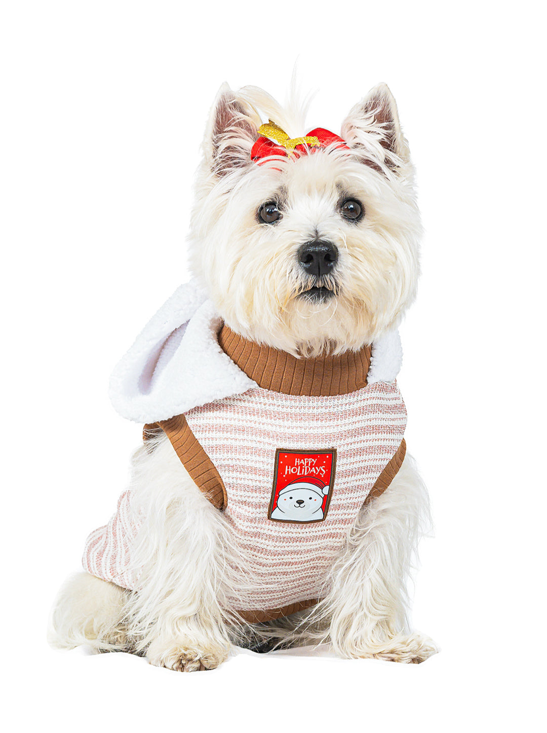 Hoodie Brisa de Invierno