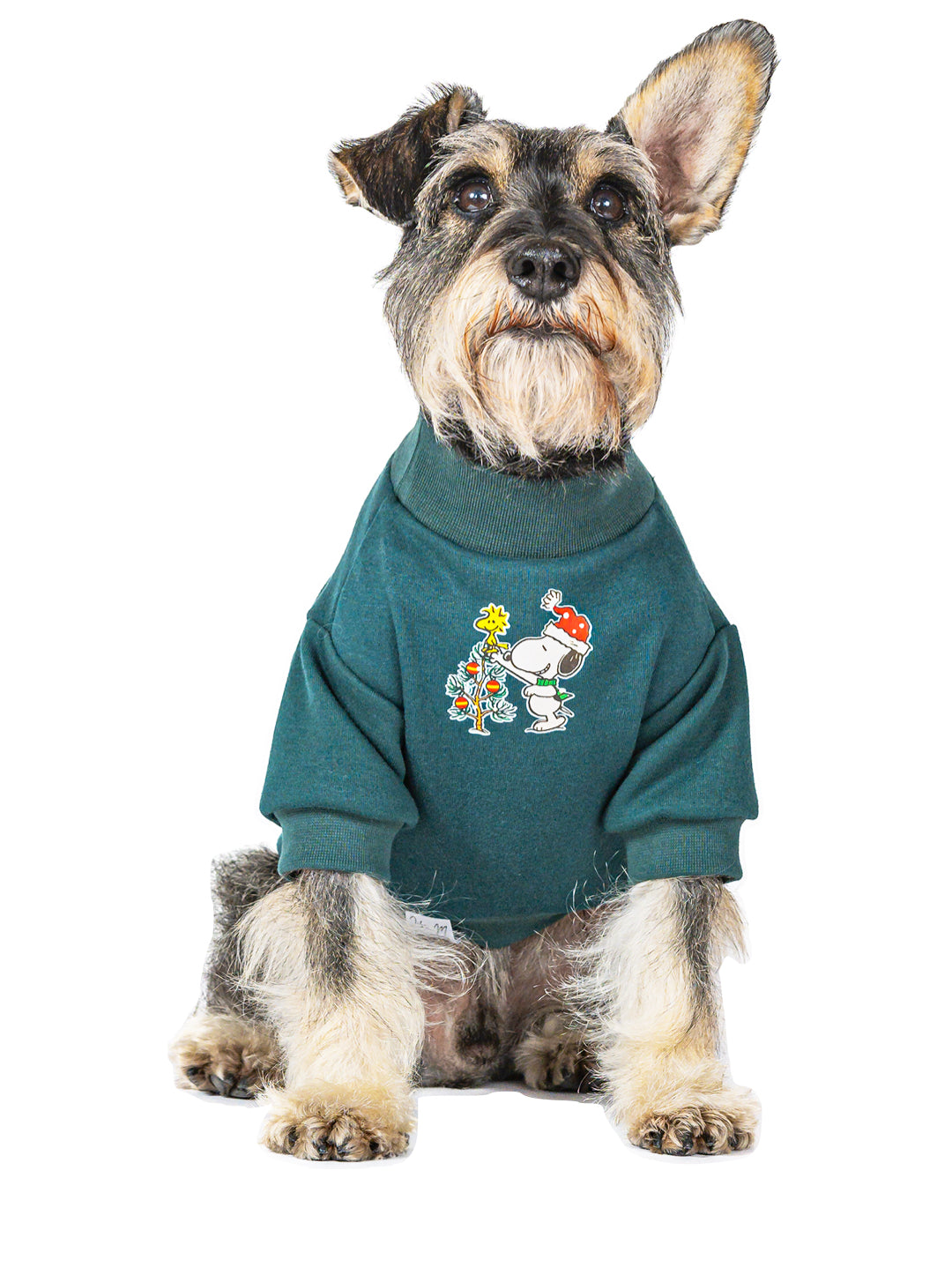 Buzo Pino Estampado Snoopy