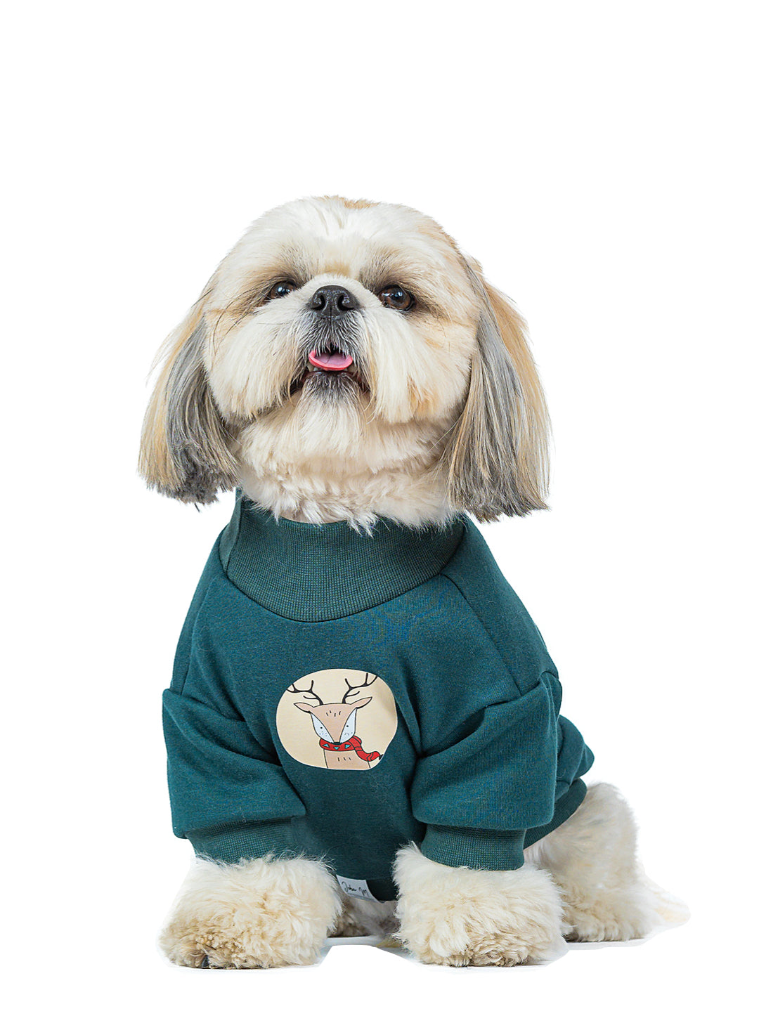 Buzo Pino Estampado Reno