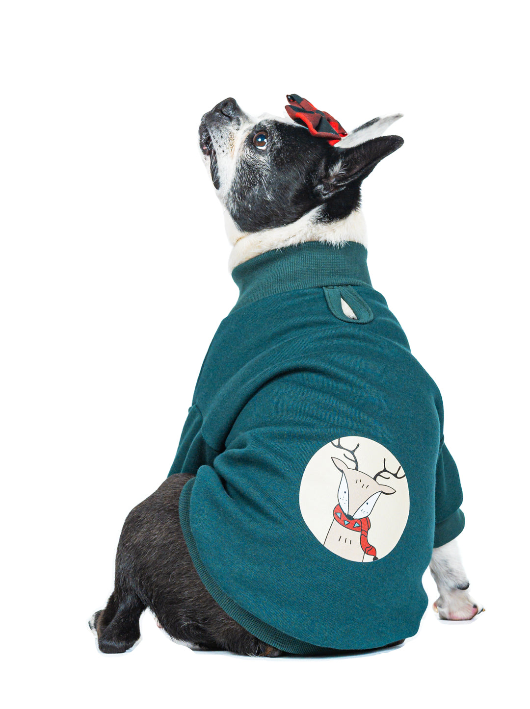 Buzo Pino Estampado Reno