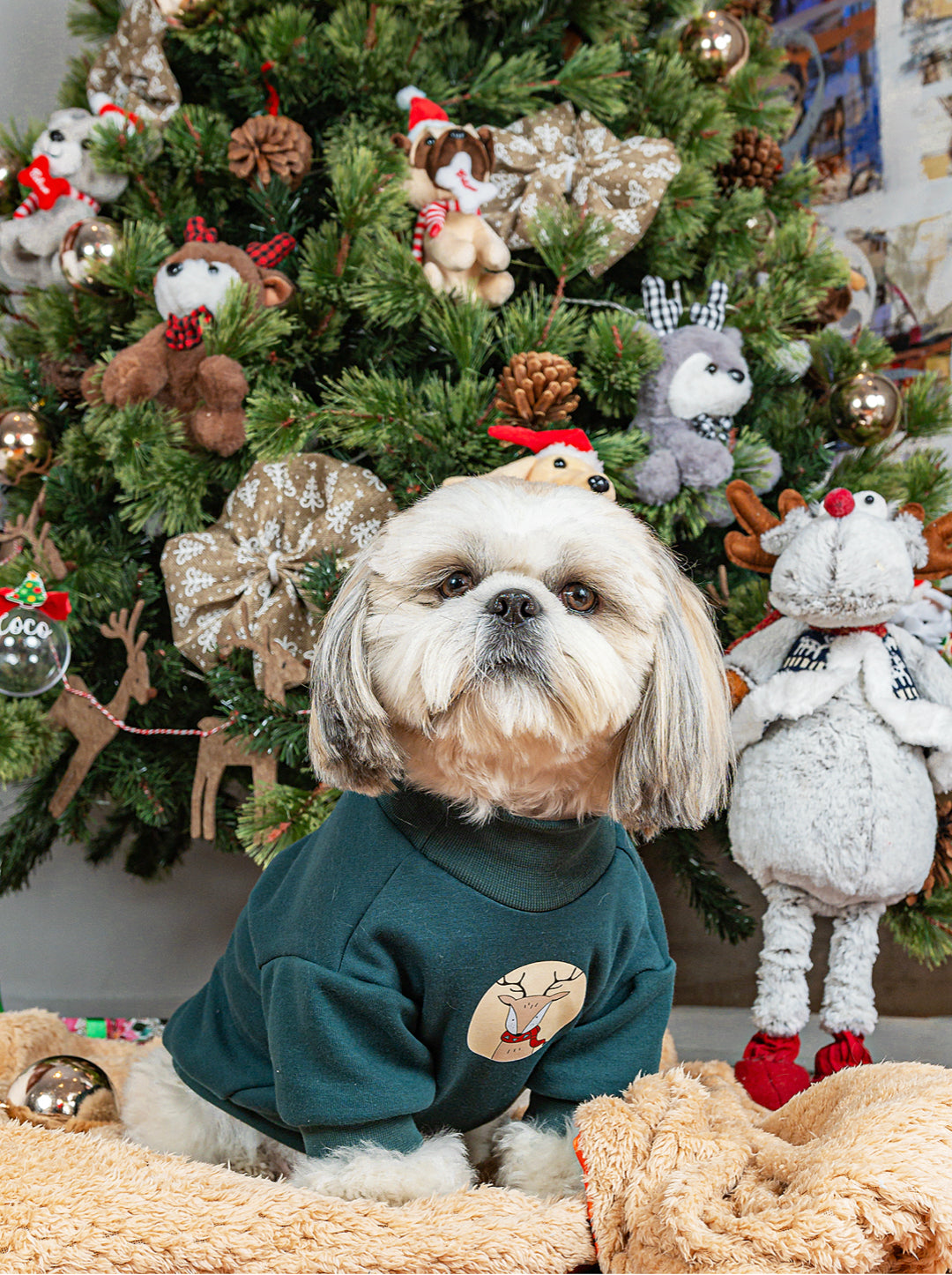 Buzo Pino Estampado Reno