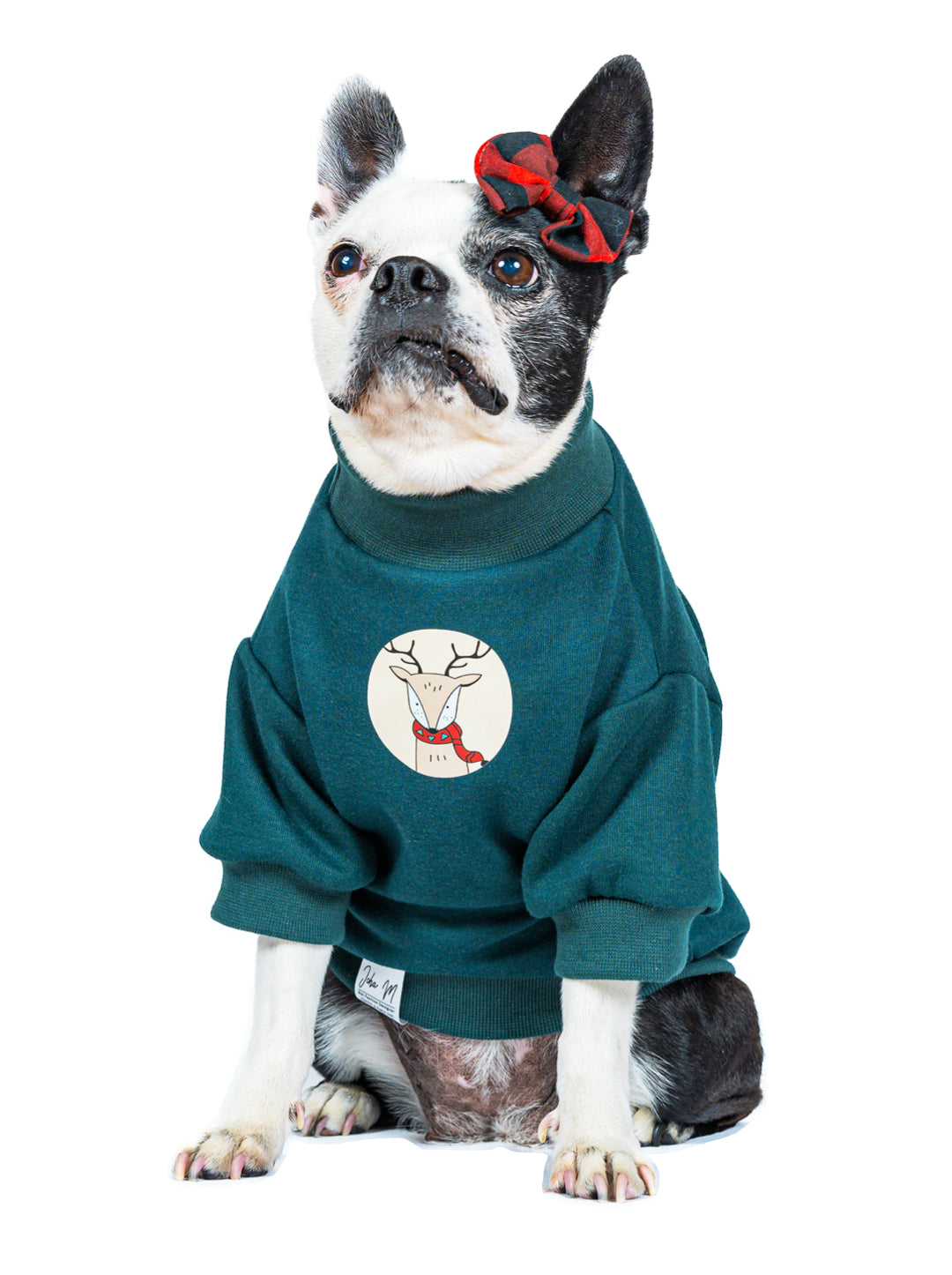 Buzo Pino Estampado Reno