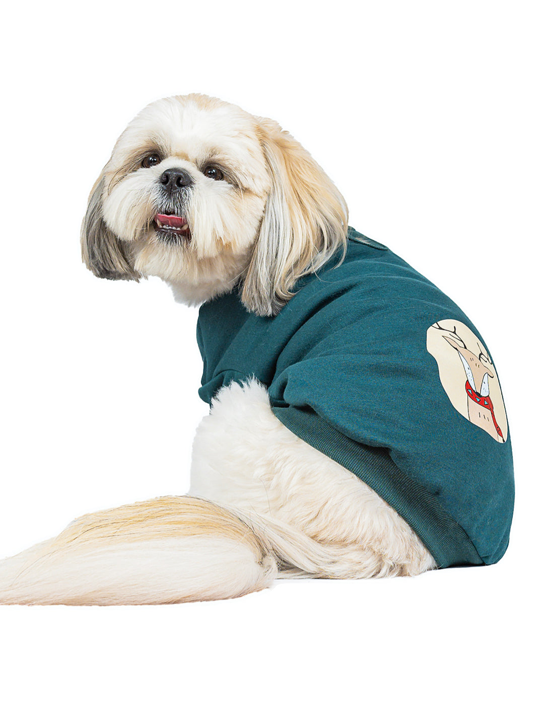 Buzo Pino Estampado Reno