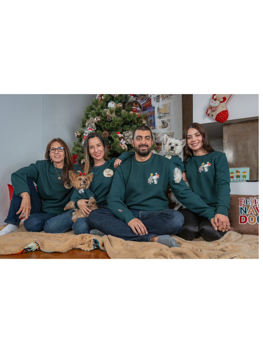 Buzo Pino Estampado Reno