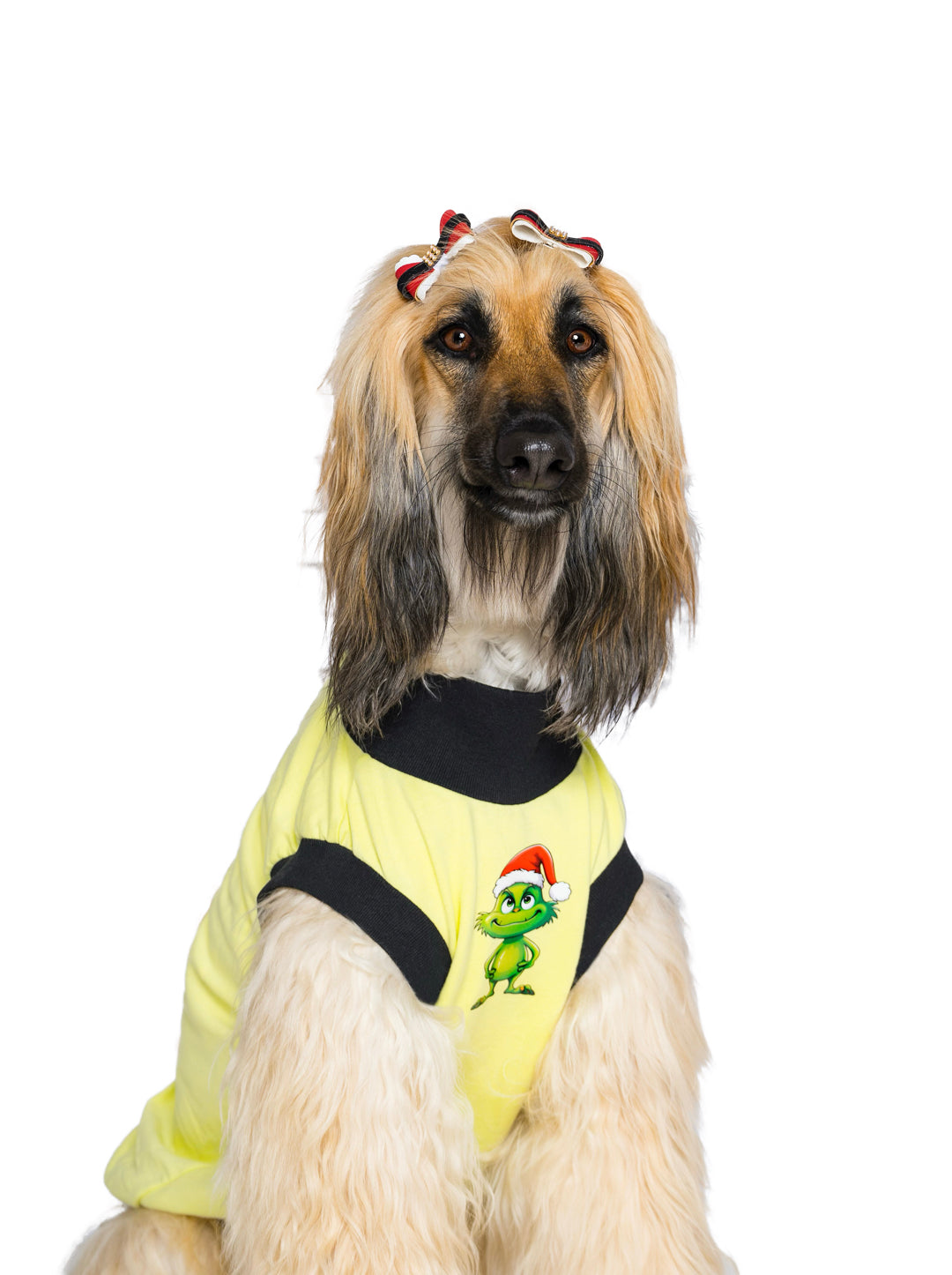 Esqueleto 99% Grinch