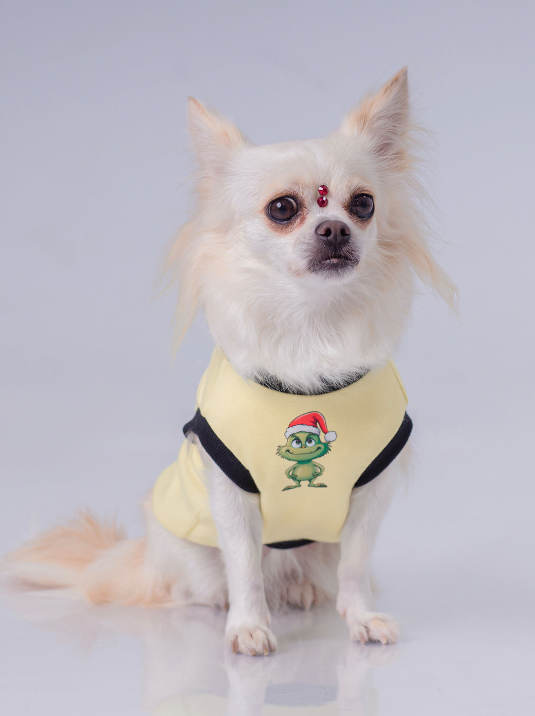 Esqueleto 99% Grinch