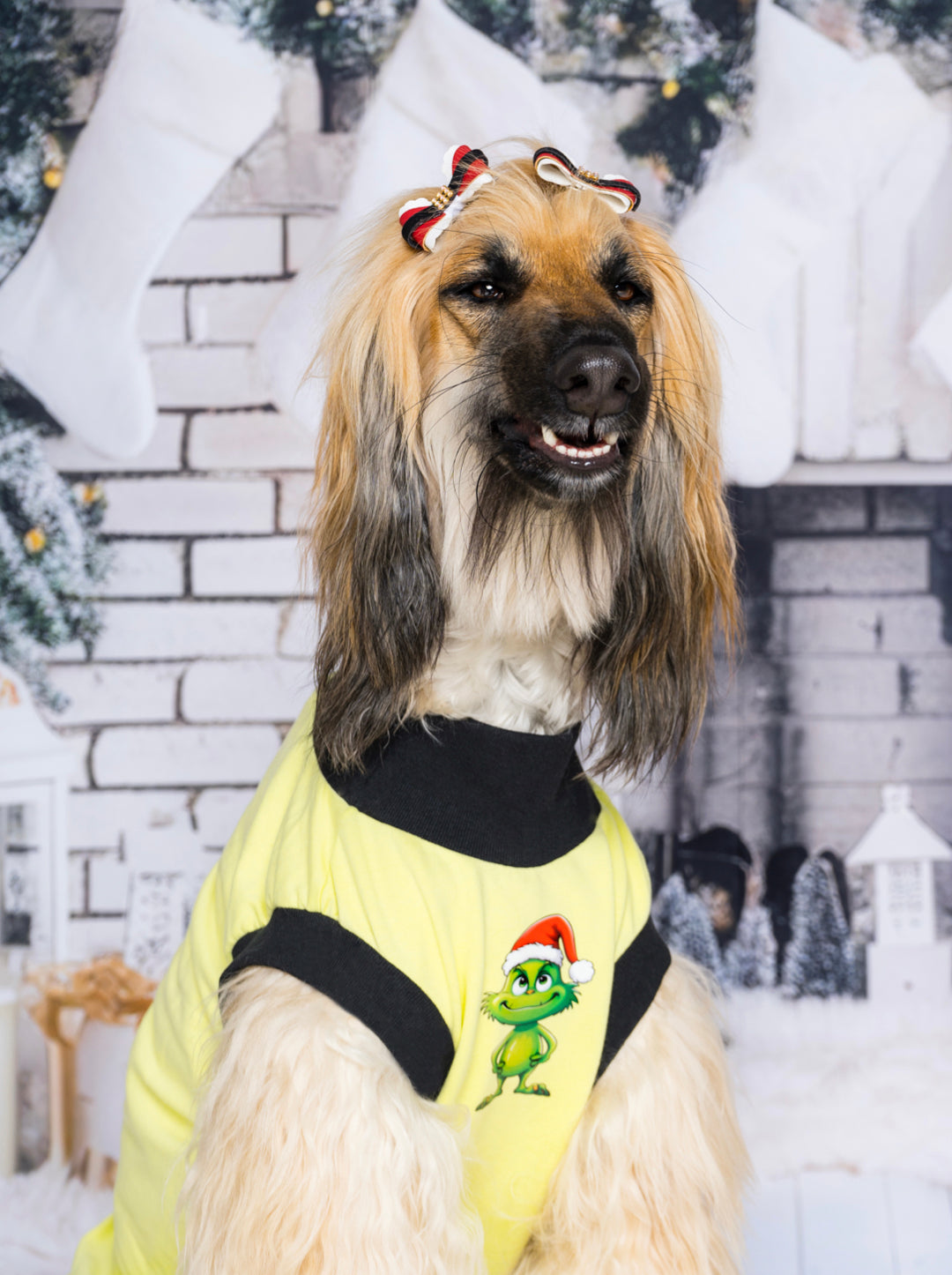 Esqueleto 99% Grinch