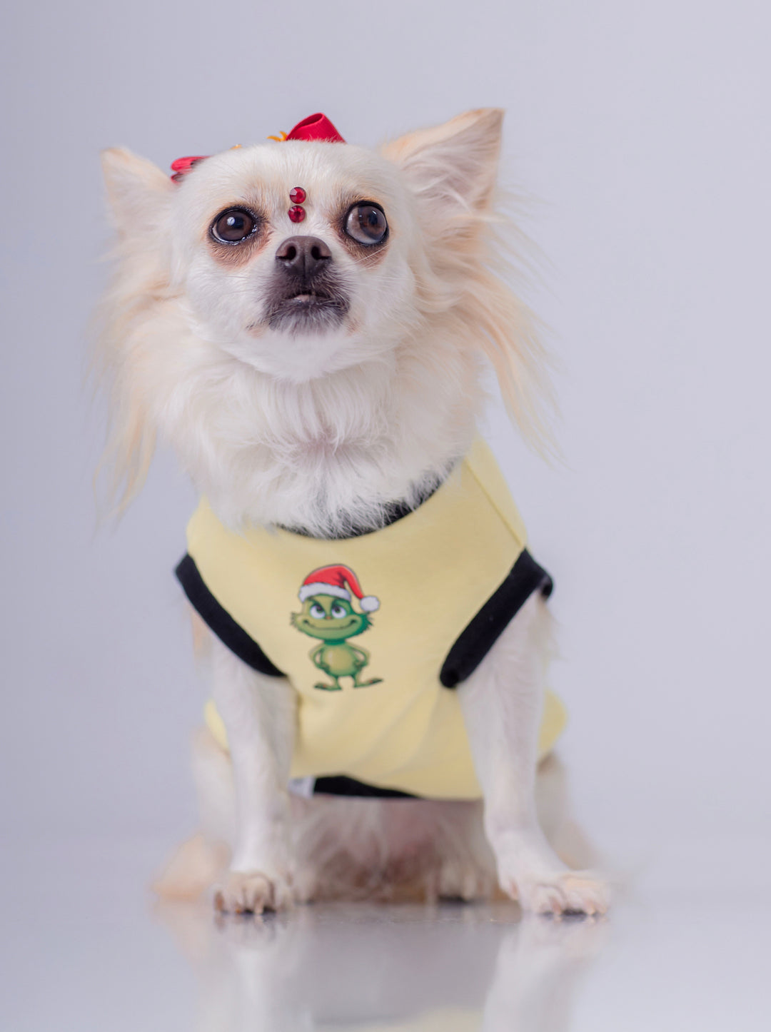 Esqueleto 99% Grinch