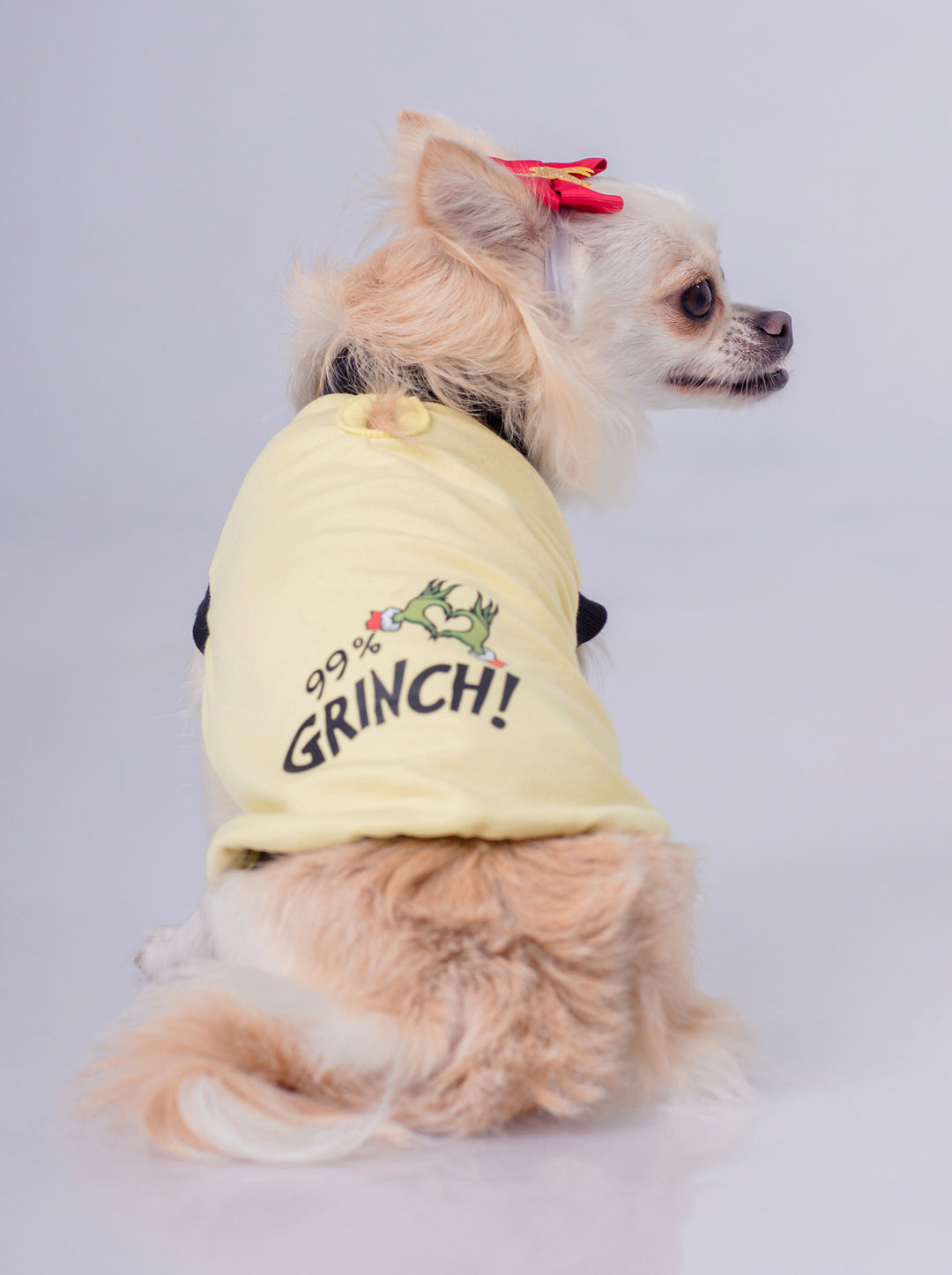 Esqueleto 99% Grinch