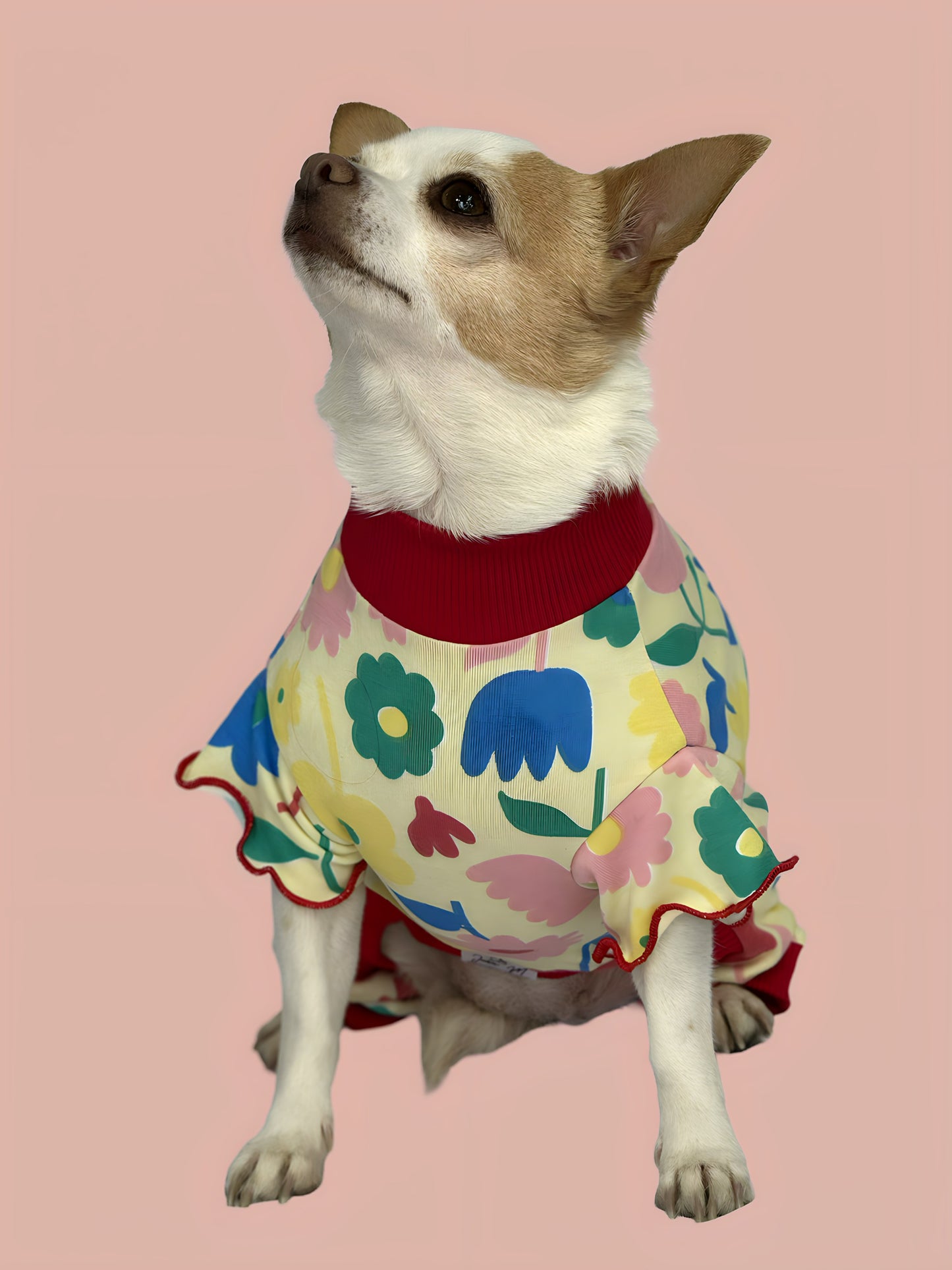Pijama 4 patas Florencia