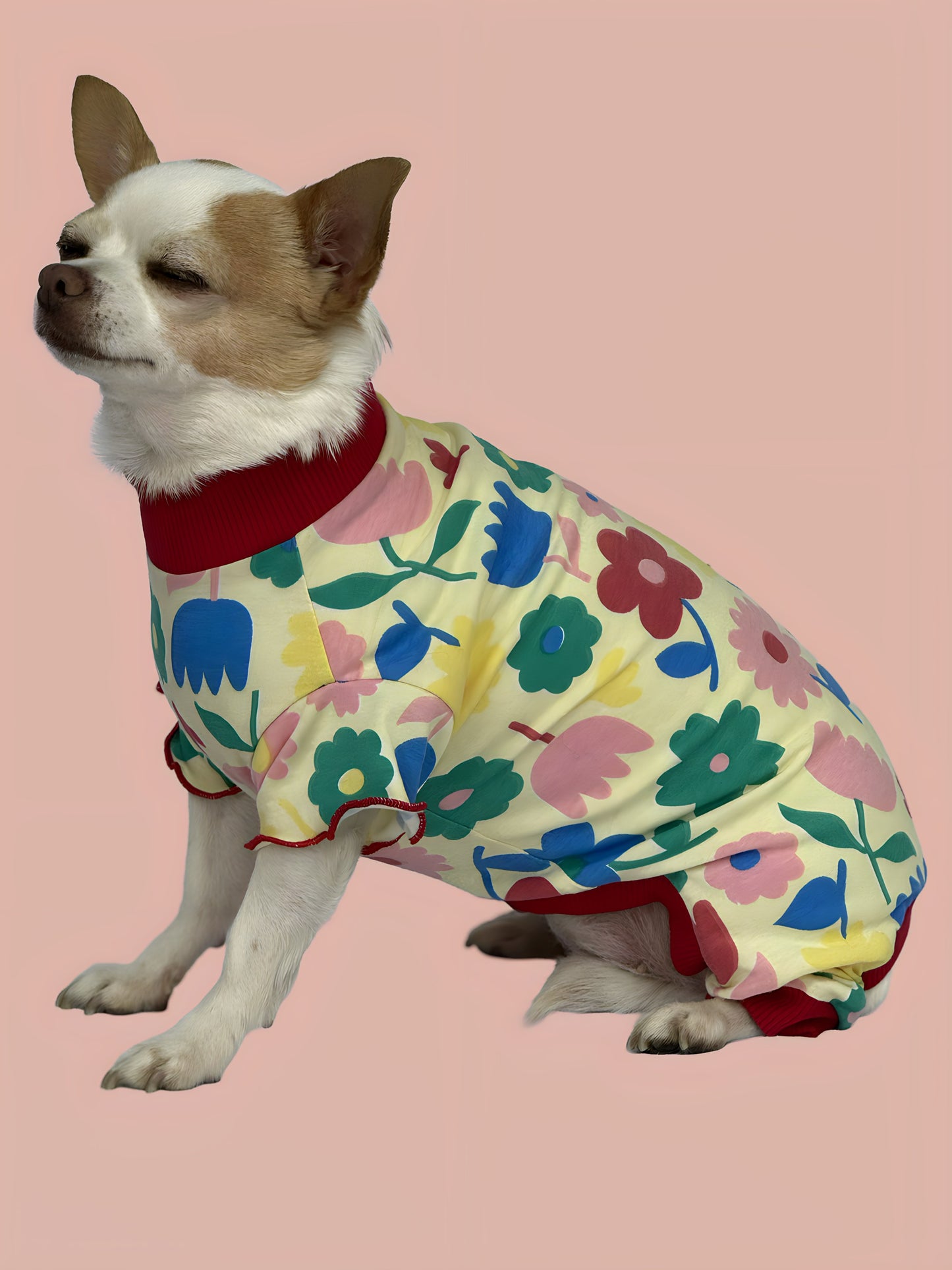Pijama 4 patas Florencia