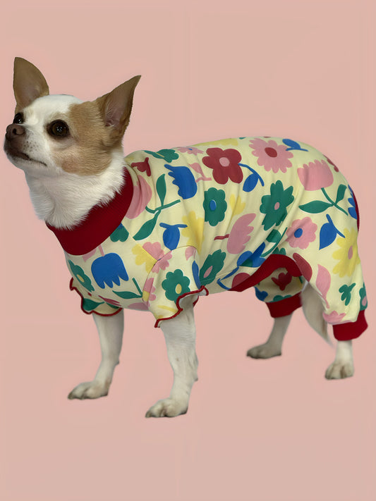 Pijama 4 patas Florencia