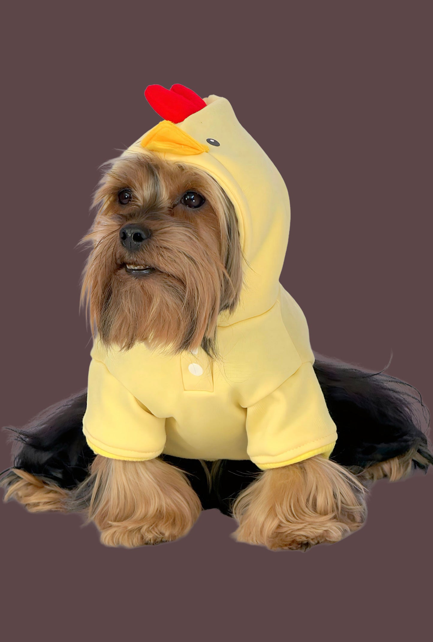 Hoodie Pollito Pio