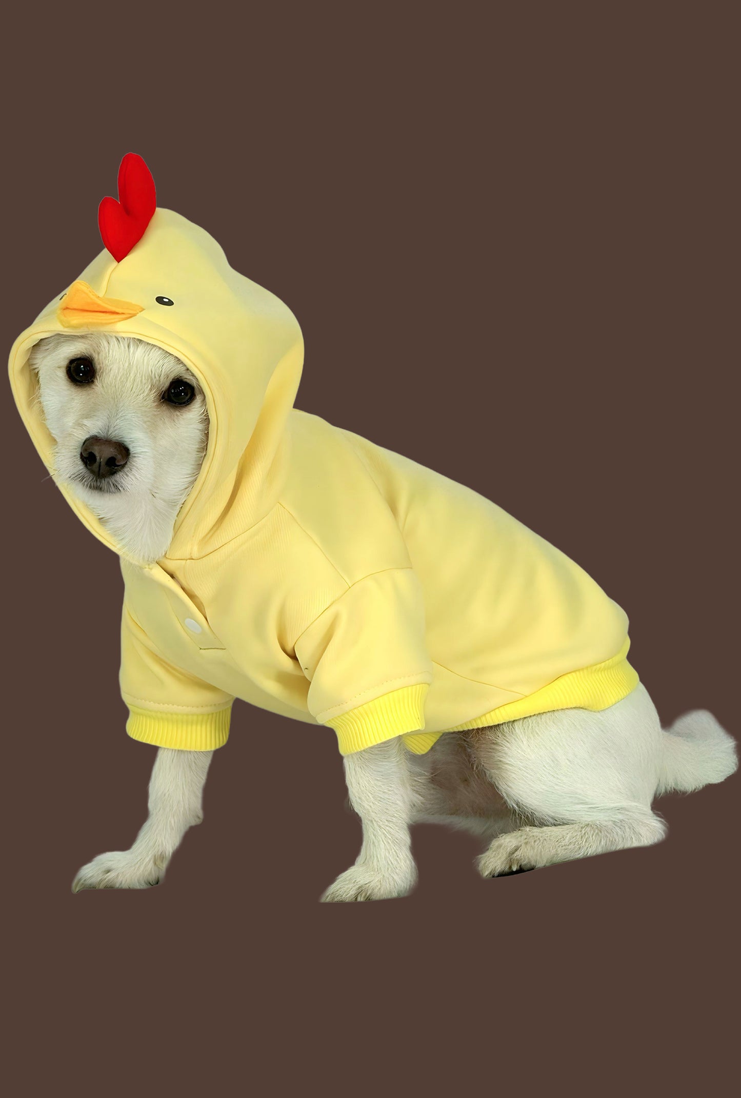 Hoodie Pollito Pio