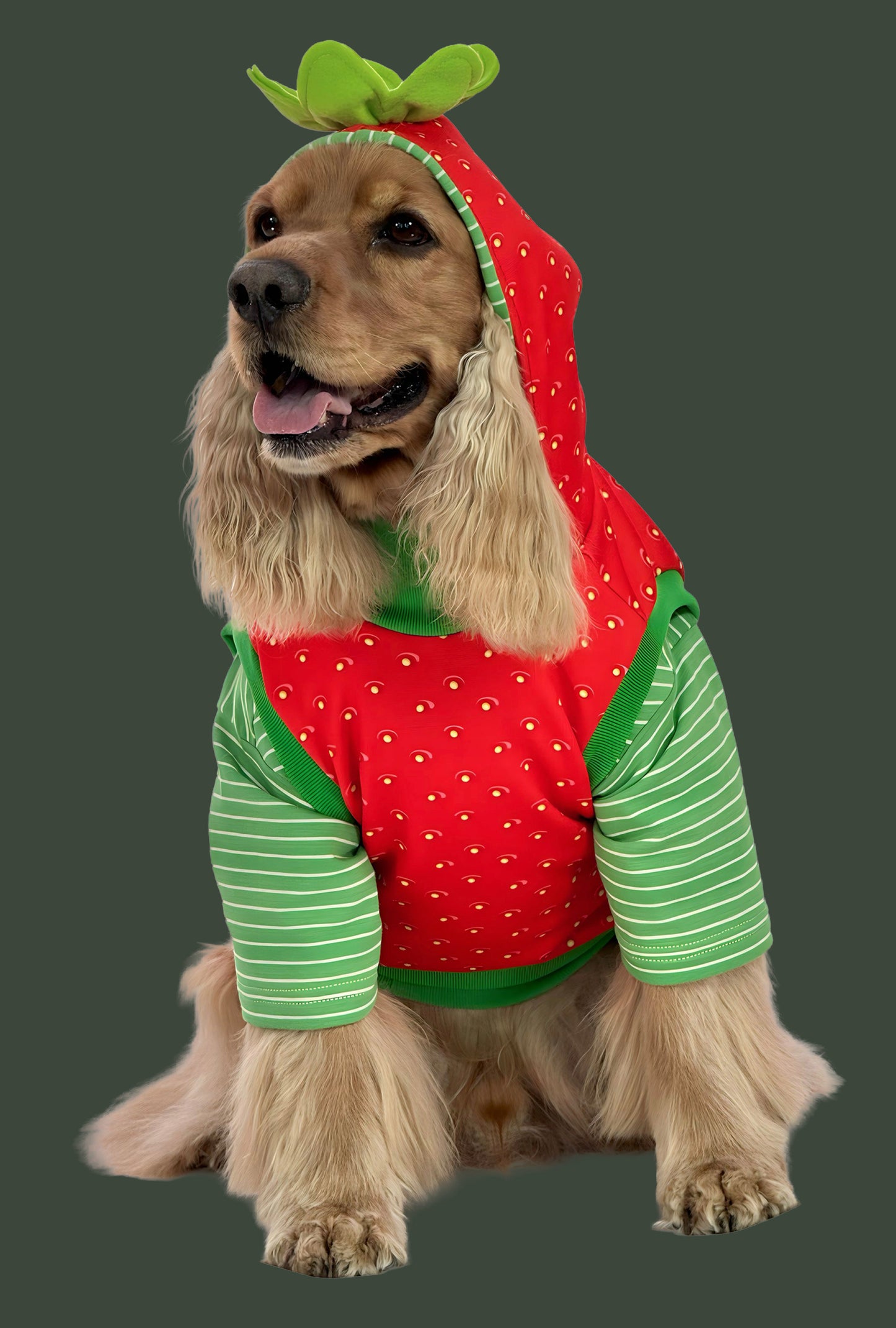 Hoodie Strawperry