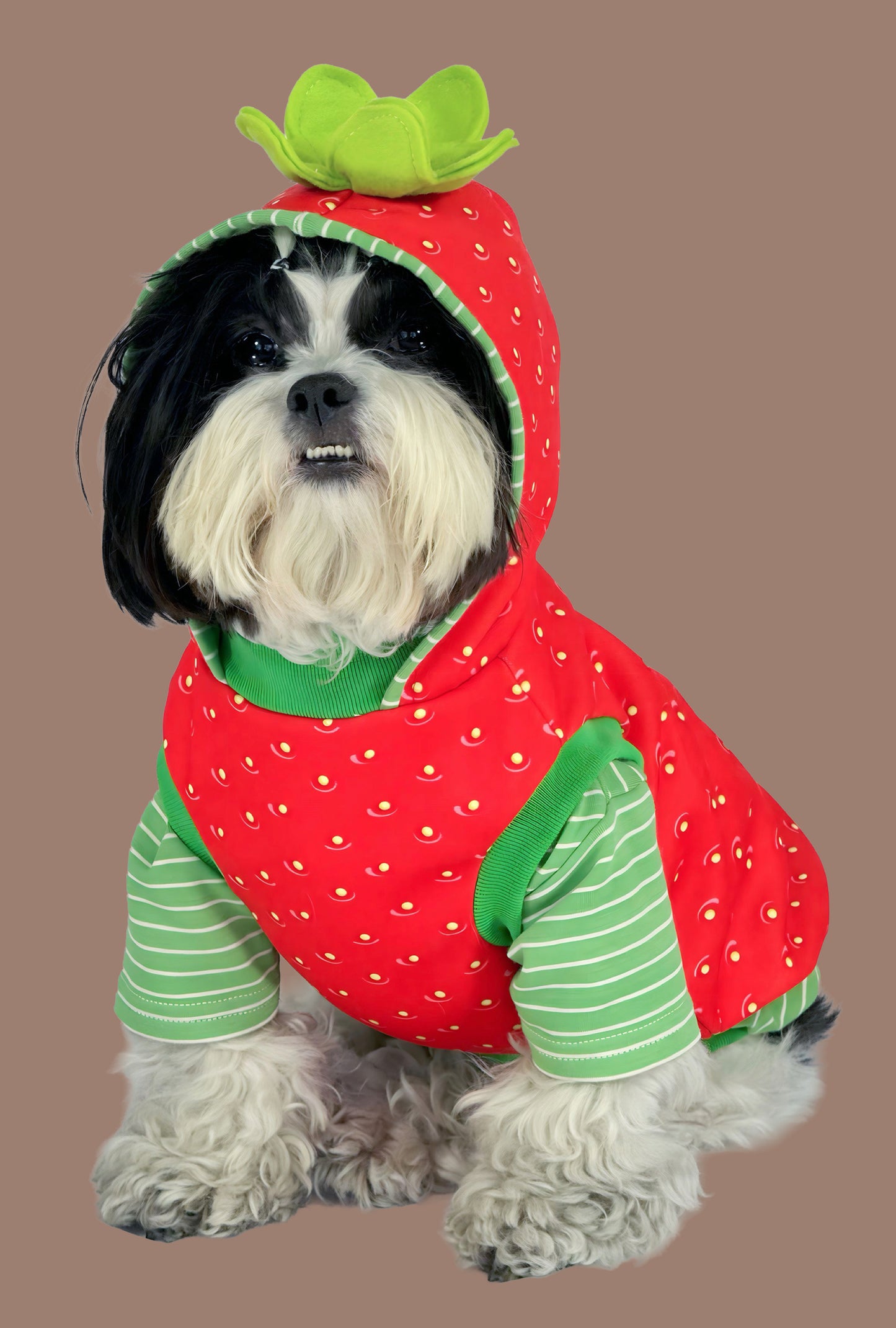 Hoodie Strawperry