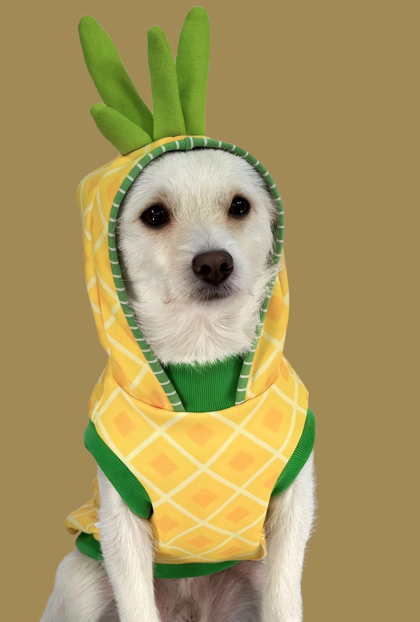 Hoodie Perriapple