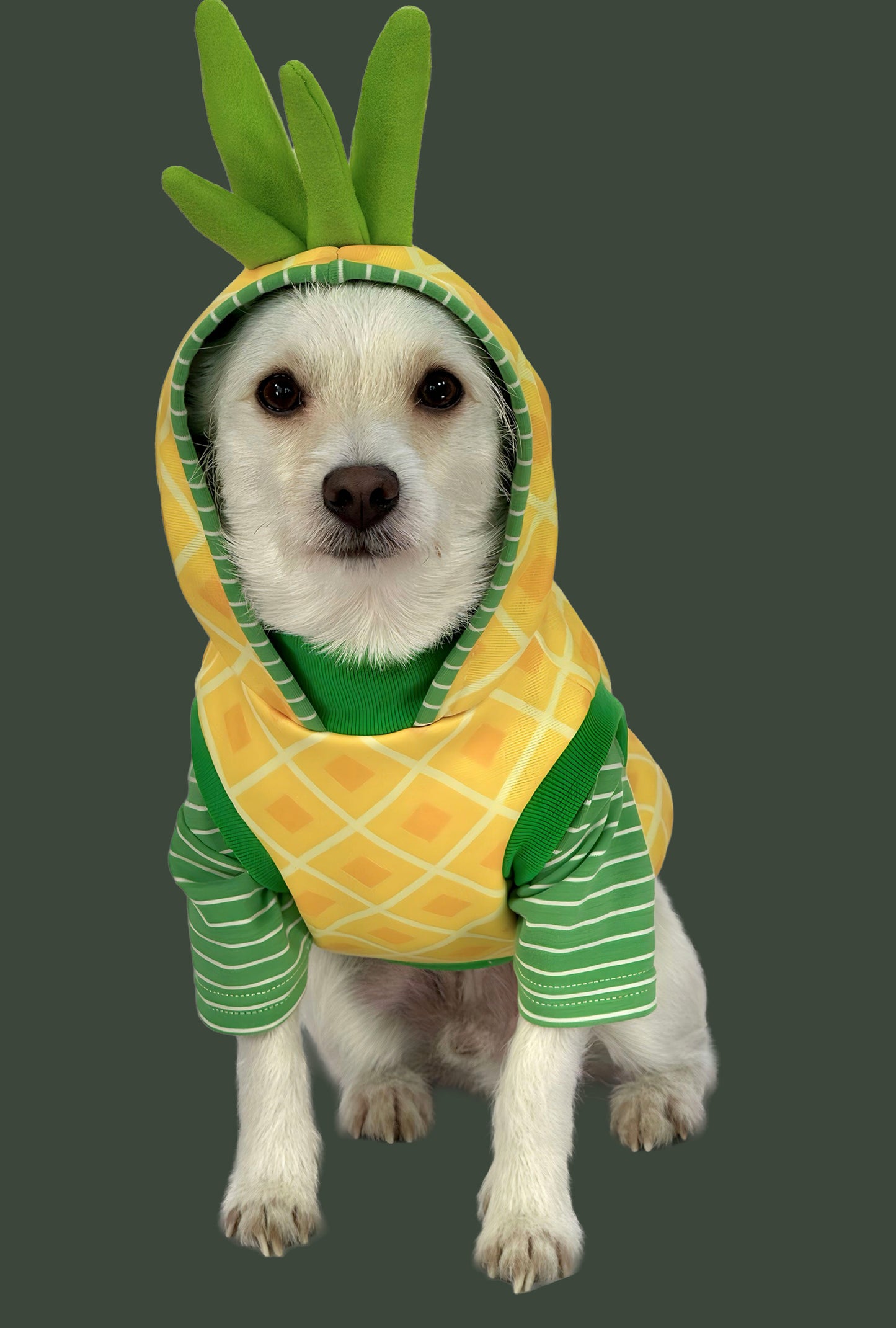 Hoodie Perriapple