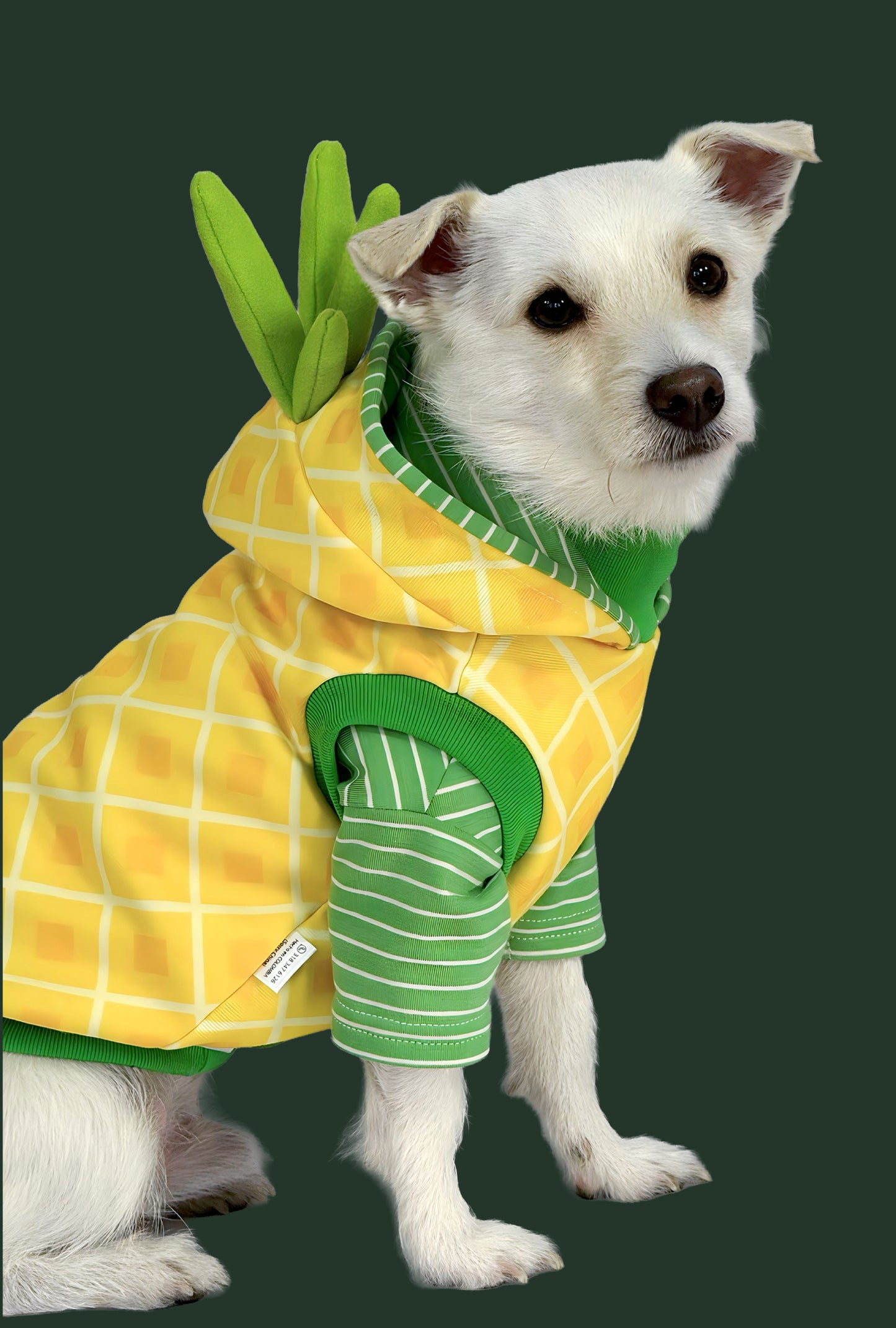 Hoodie Perriapple
