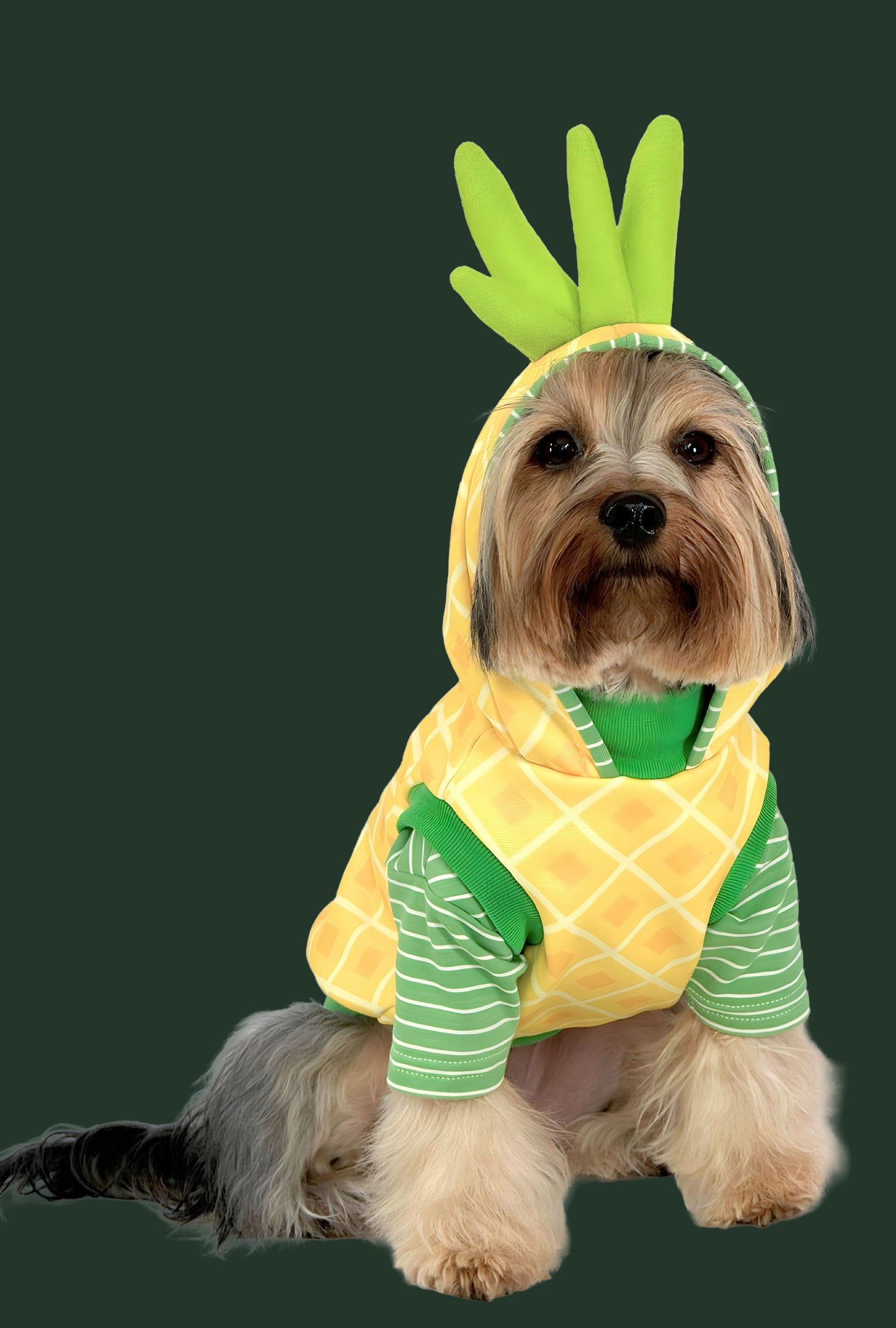 Hoodie Perriapple