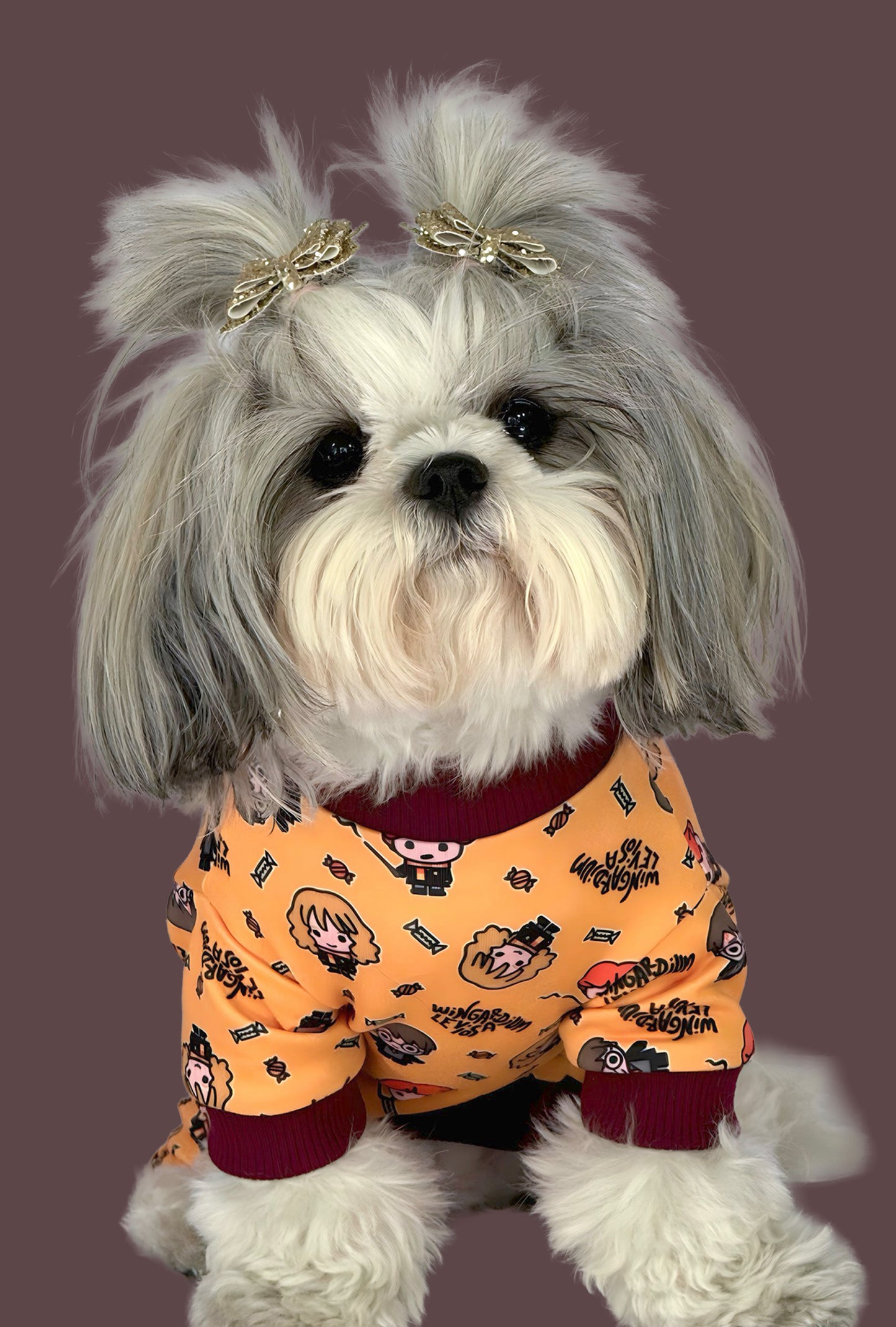 Pijama 4 patas Potter