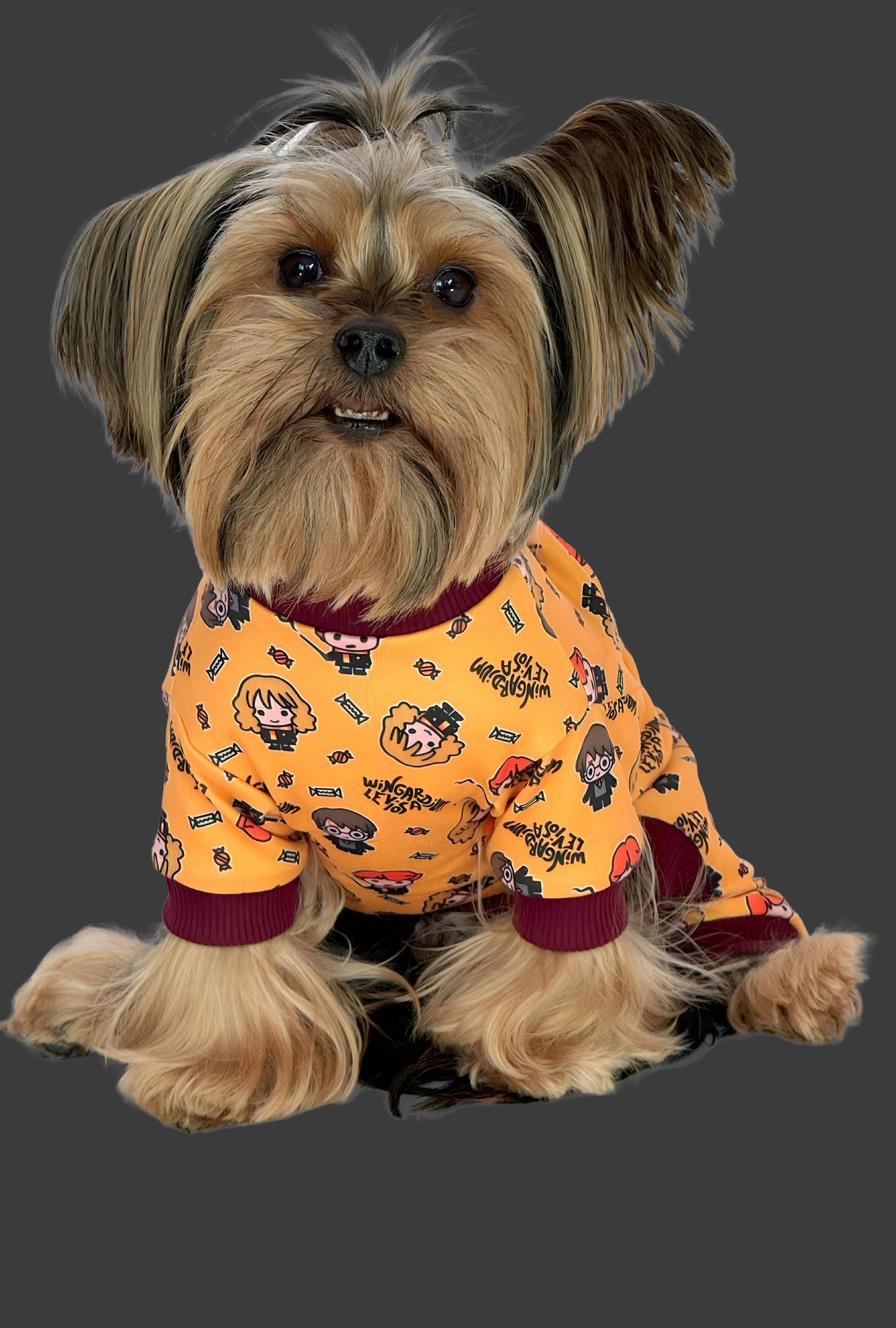 Pijama 4 patas Potter