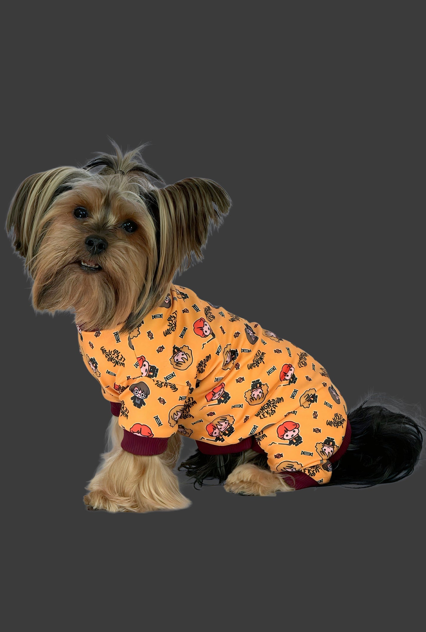 Pijama 4 patas Potter