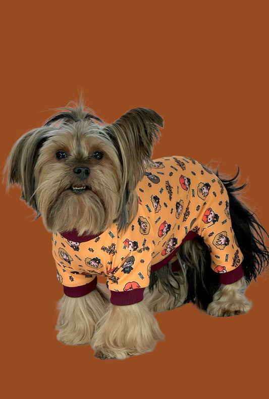 Pijama 4 patas Potter