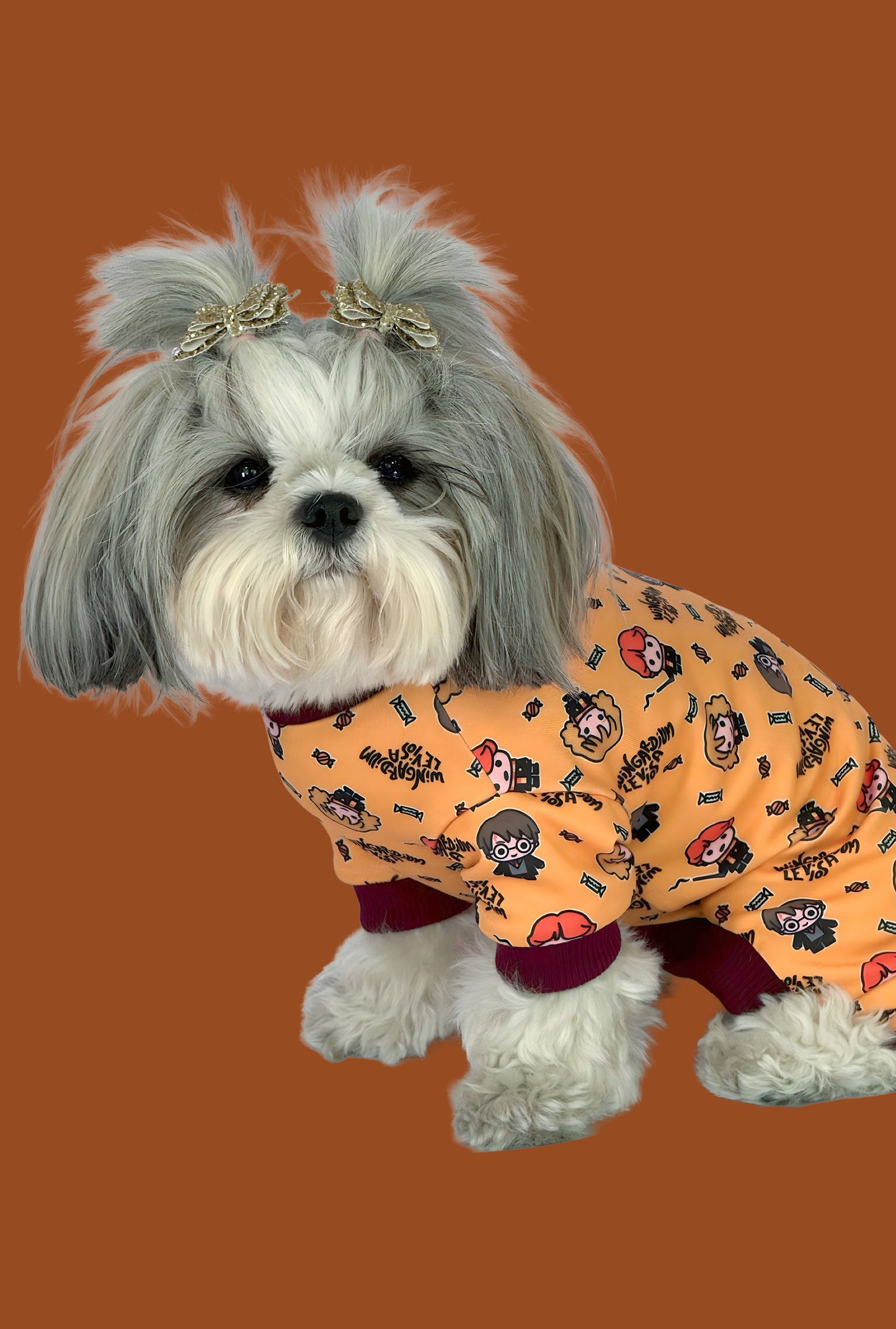 Pijama 4 patas Potter