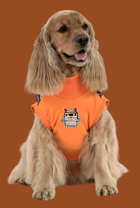 Esqueleto Perri Momia