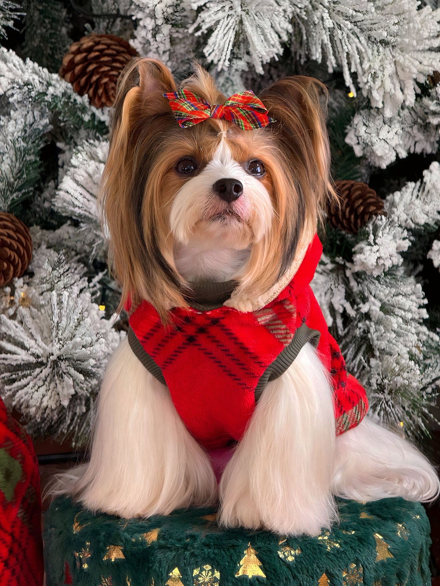 Chaleco De Santa Reversible