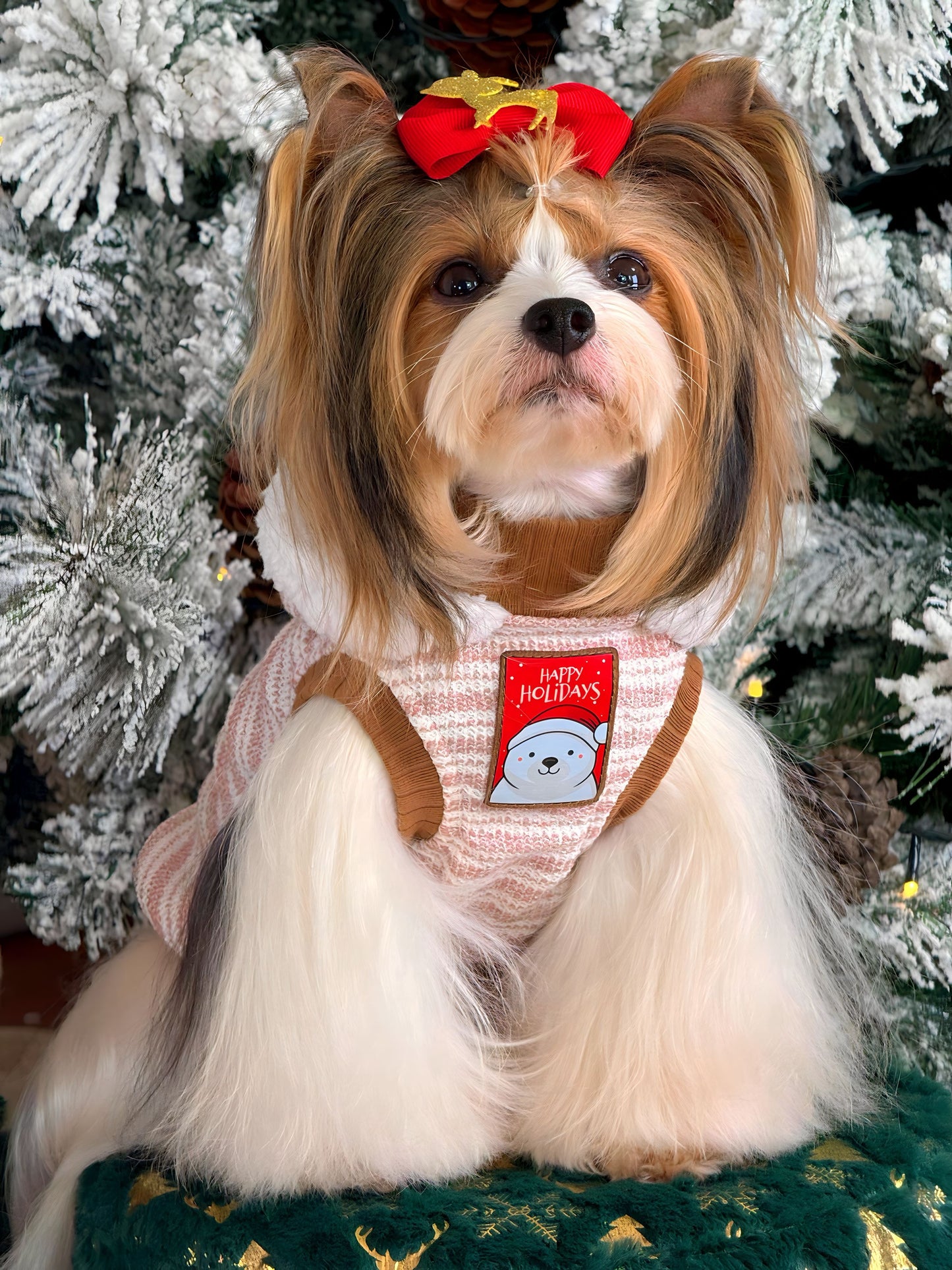 Hoodie Brisa de Invierno