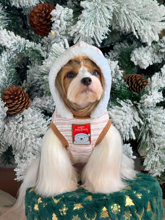 Hoodie Brisa de Invierno