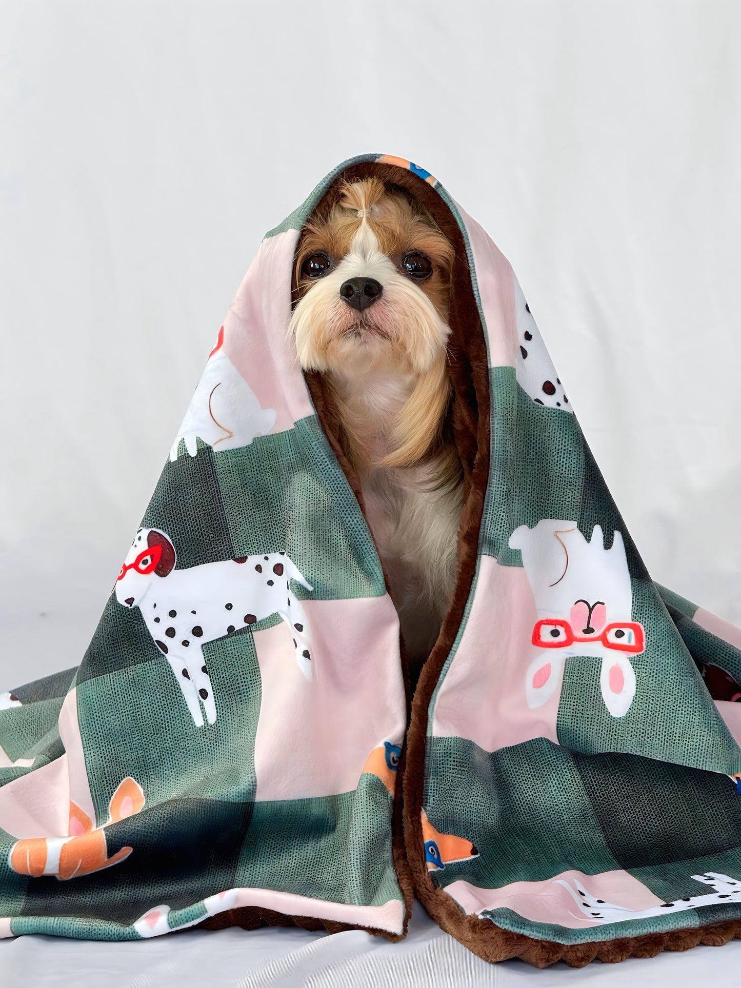 Cobija Canela & Cacao Mini