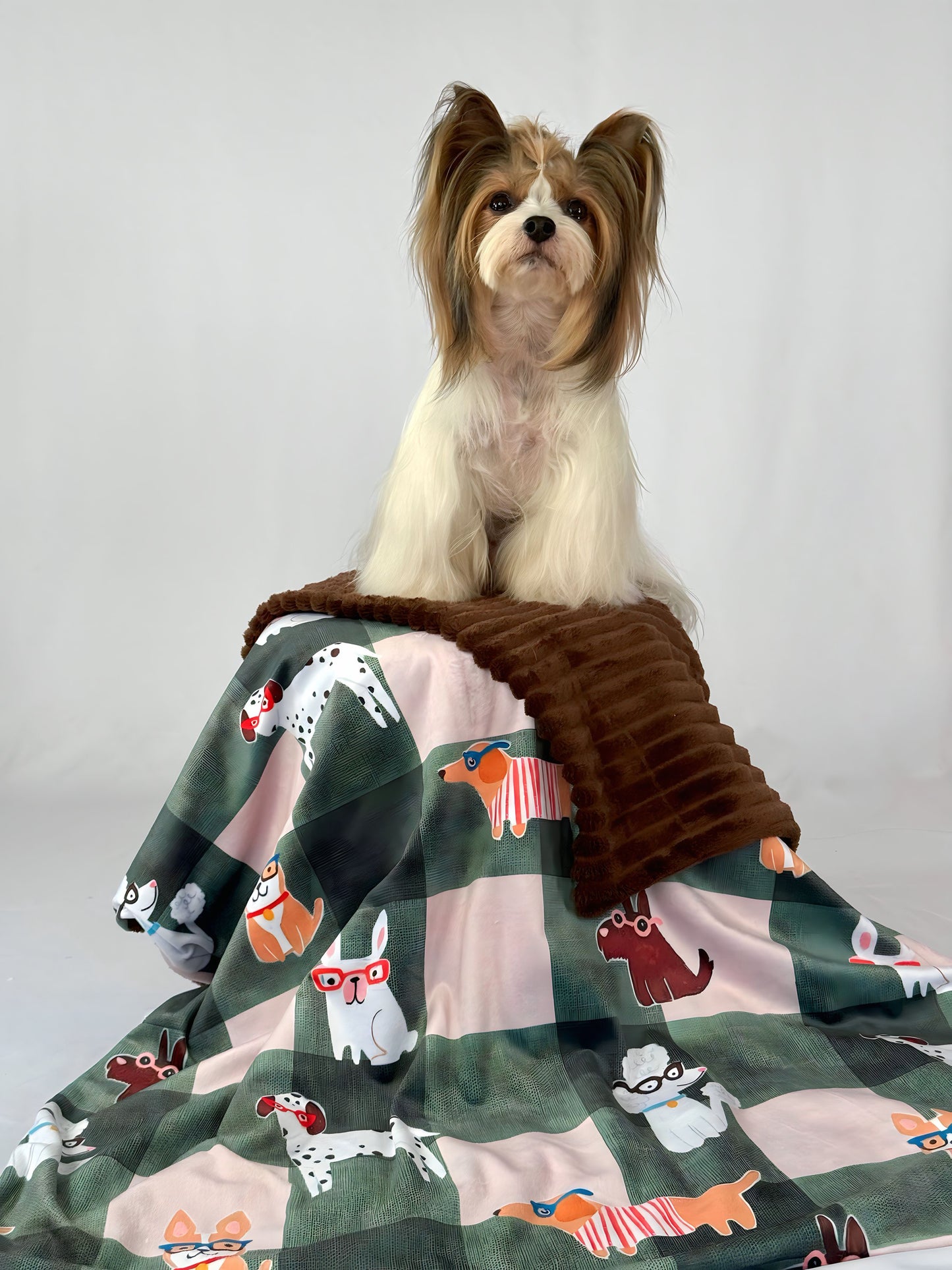 Cobija Canela & Cacao Mini