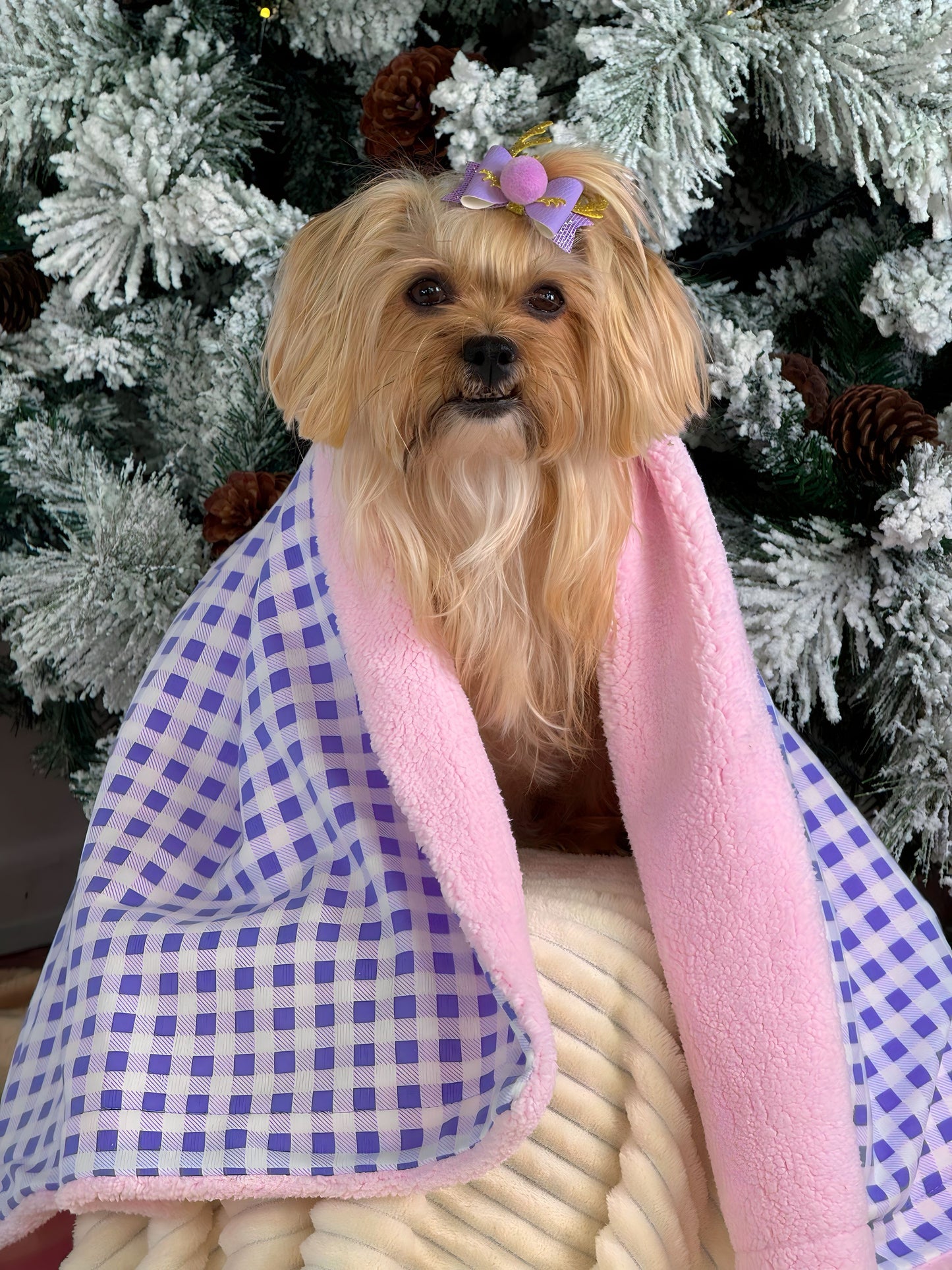 Cobija Leñadora Lila