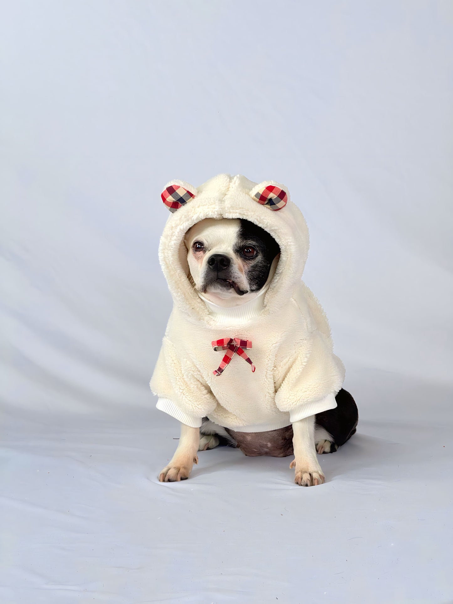 Hoodie Teddy