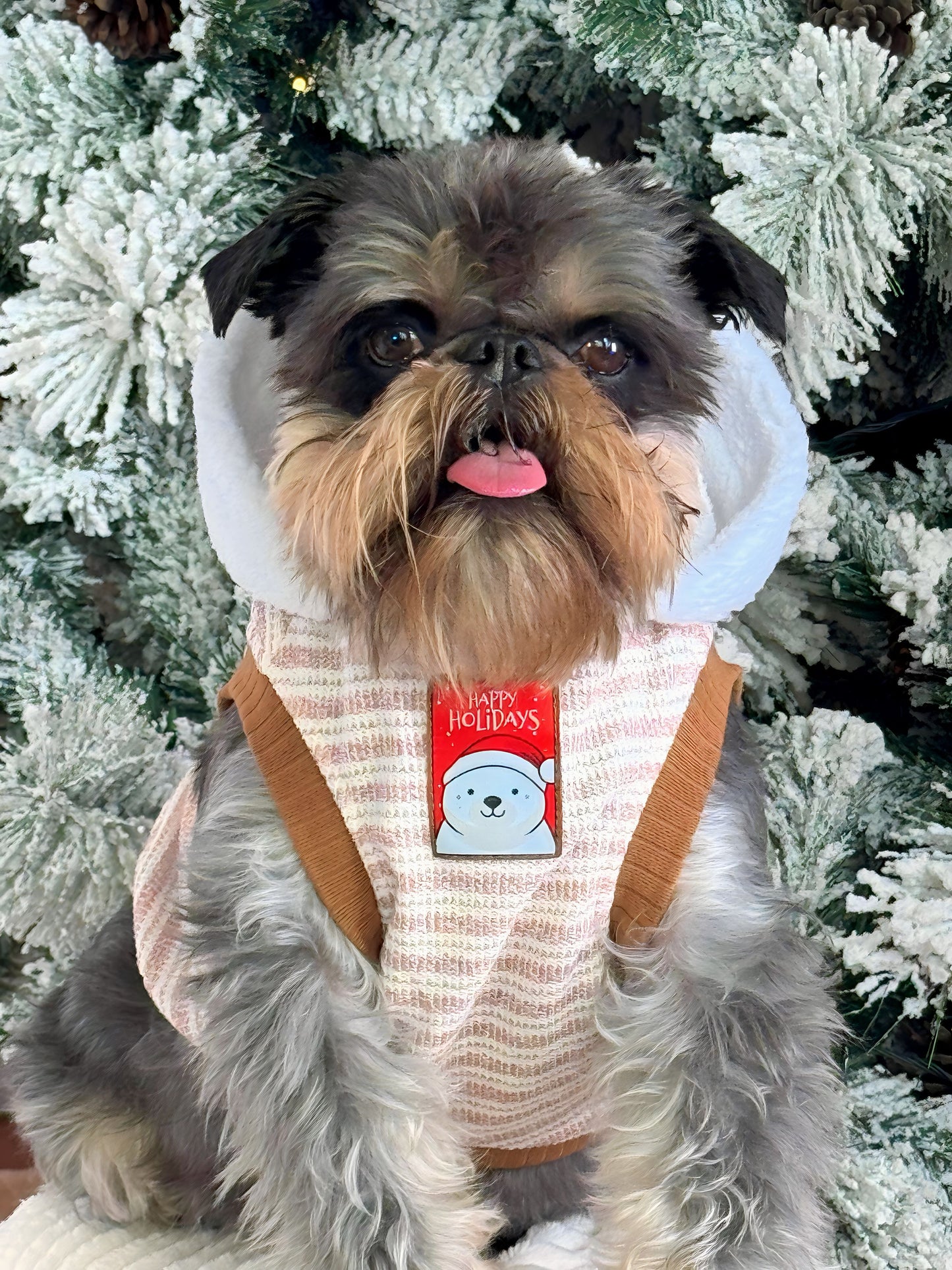 Hoodie Brisa de Invierno