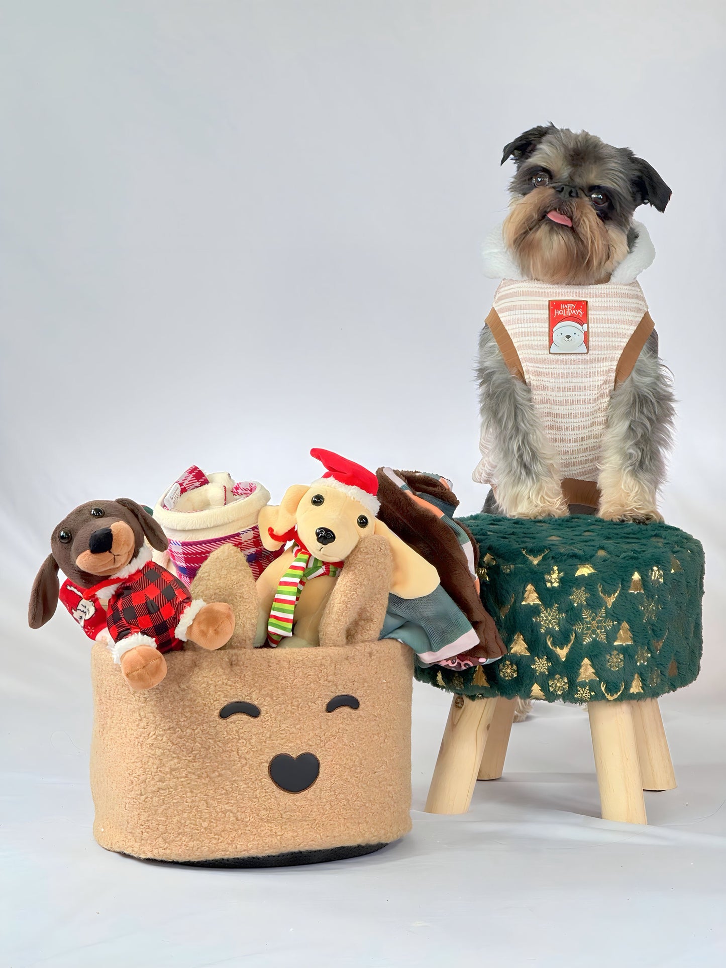 Hoodie Brisa de Invierno