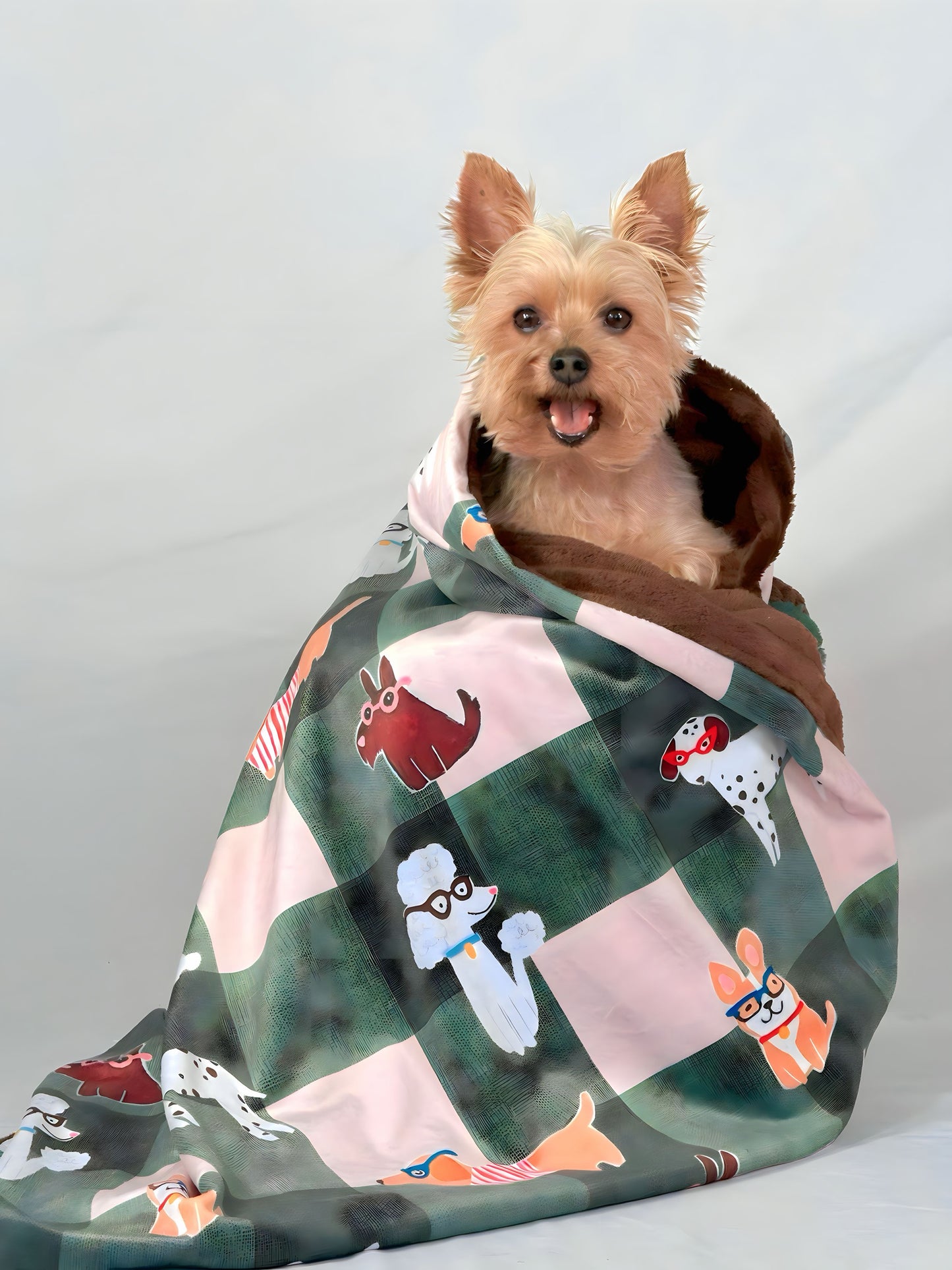 Cobija Canela & Cacao Mini